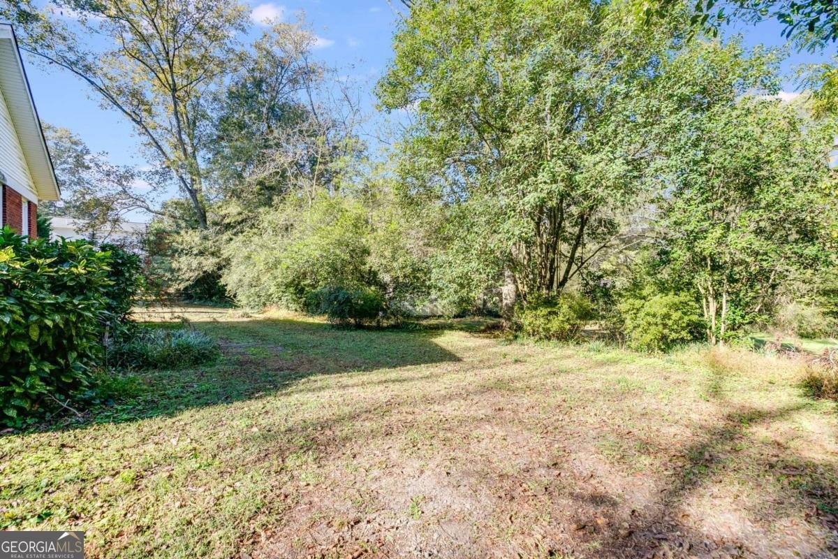 427 College Street Bowdon - 26