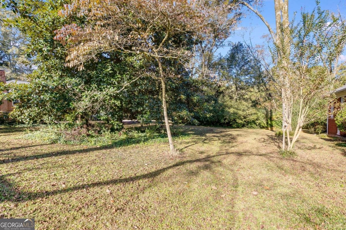 427 College Street Bowdon - 29