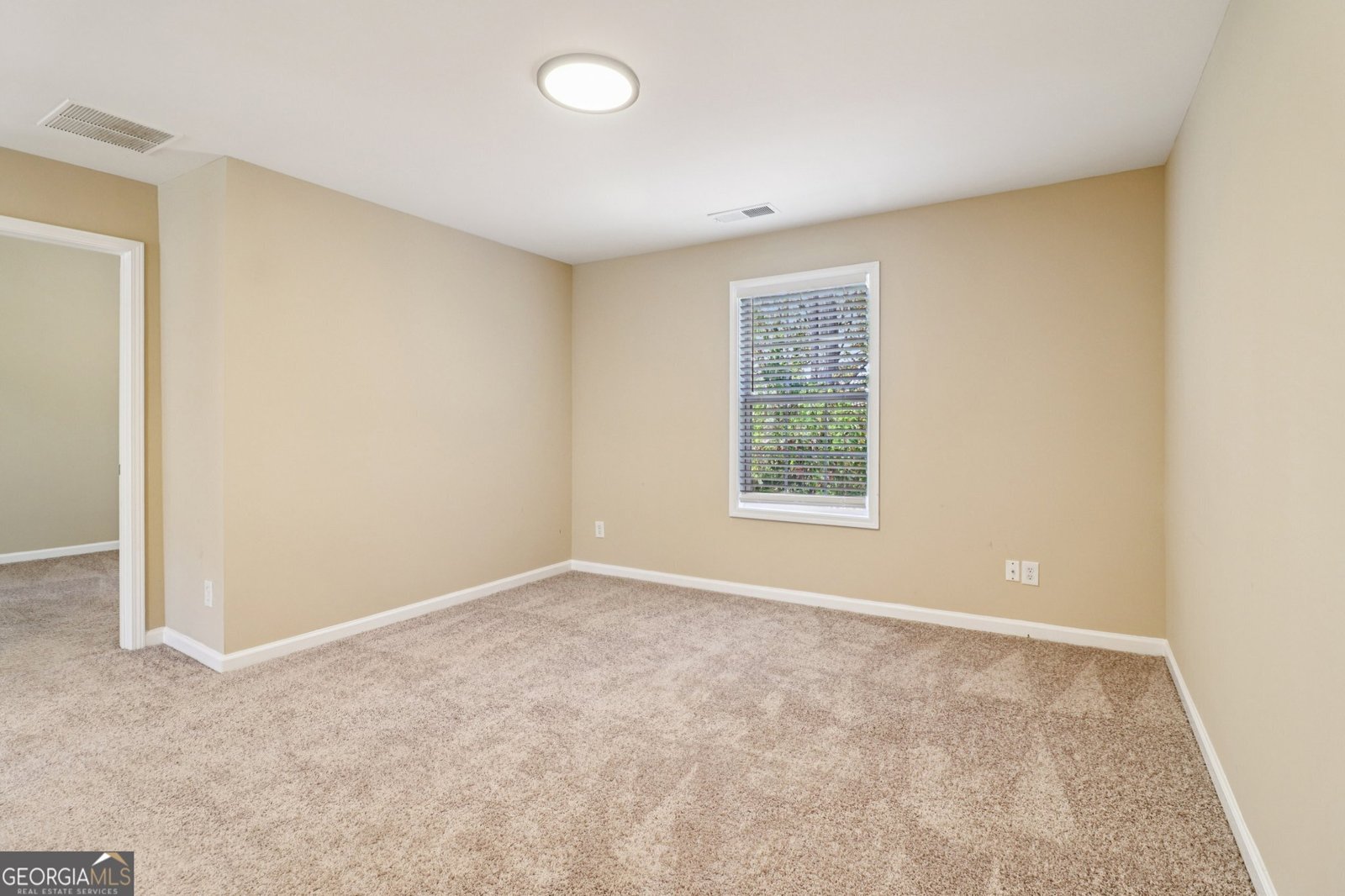 1137 Misty Valley Court Lawrenceville - 43