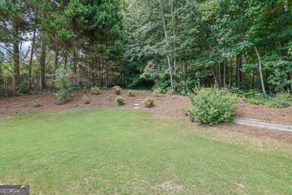 3210 Golden Spring Drive Buford - 19