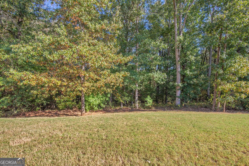 6856 Louis Drive Locust Grove - 16