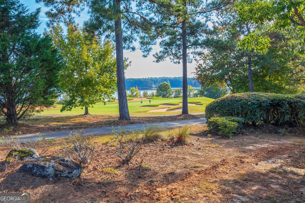 6856 Louis Drive Locust Grove - 17