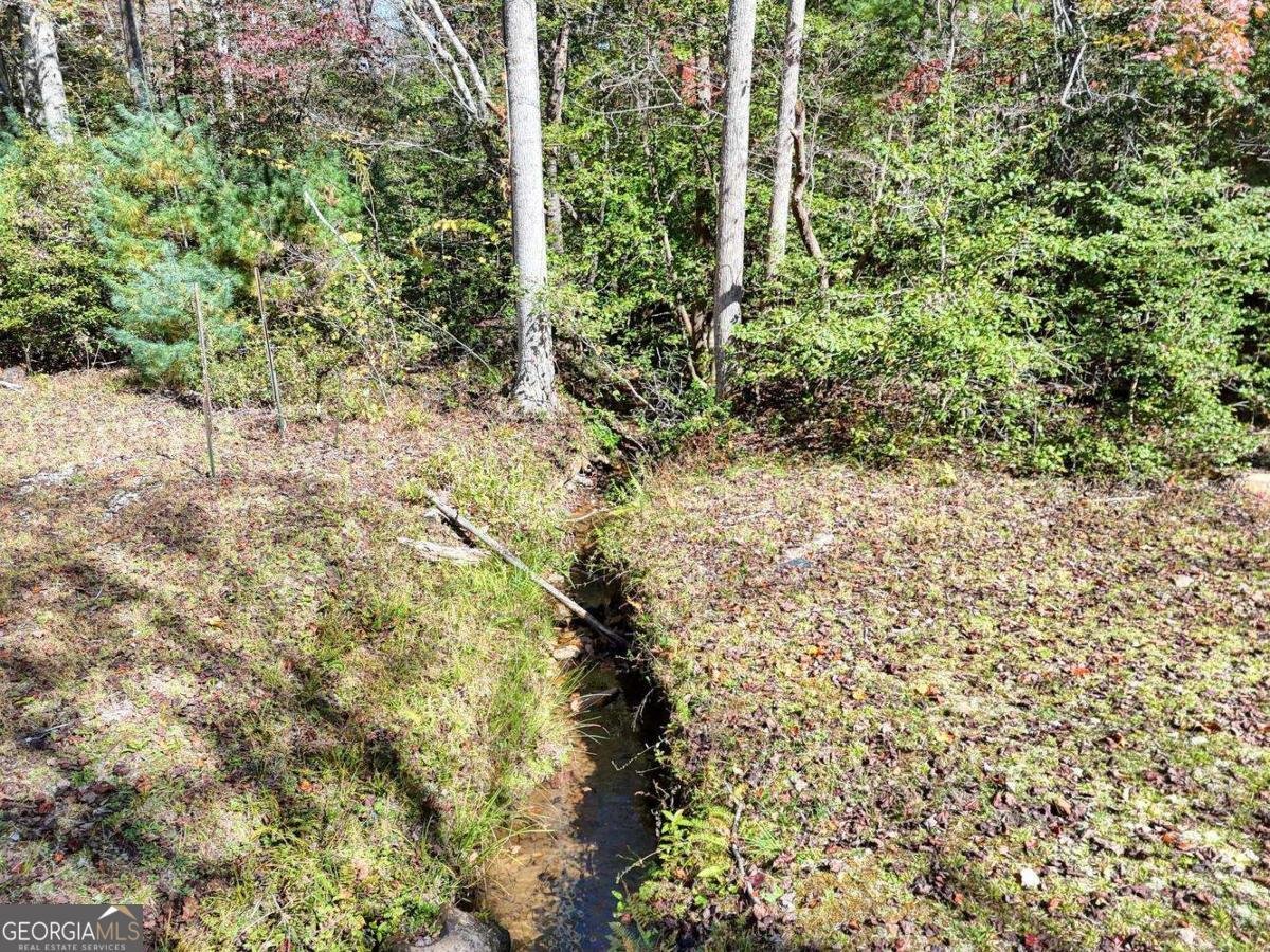 3008 Smyrna Road Young Harris - 55