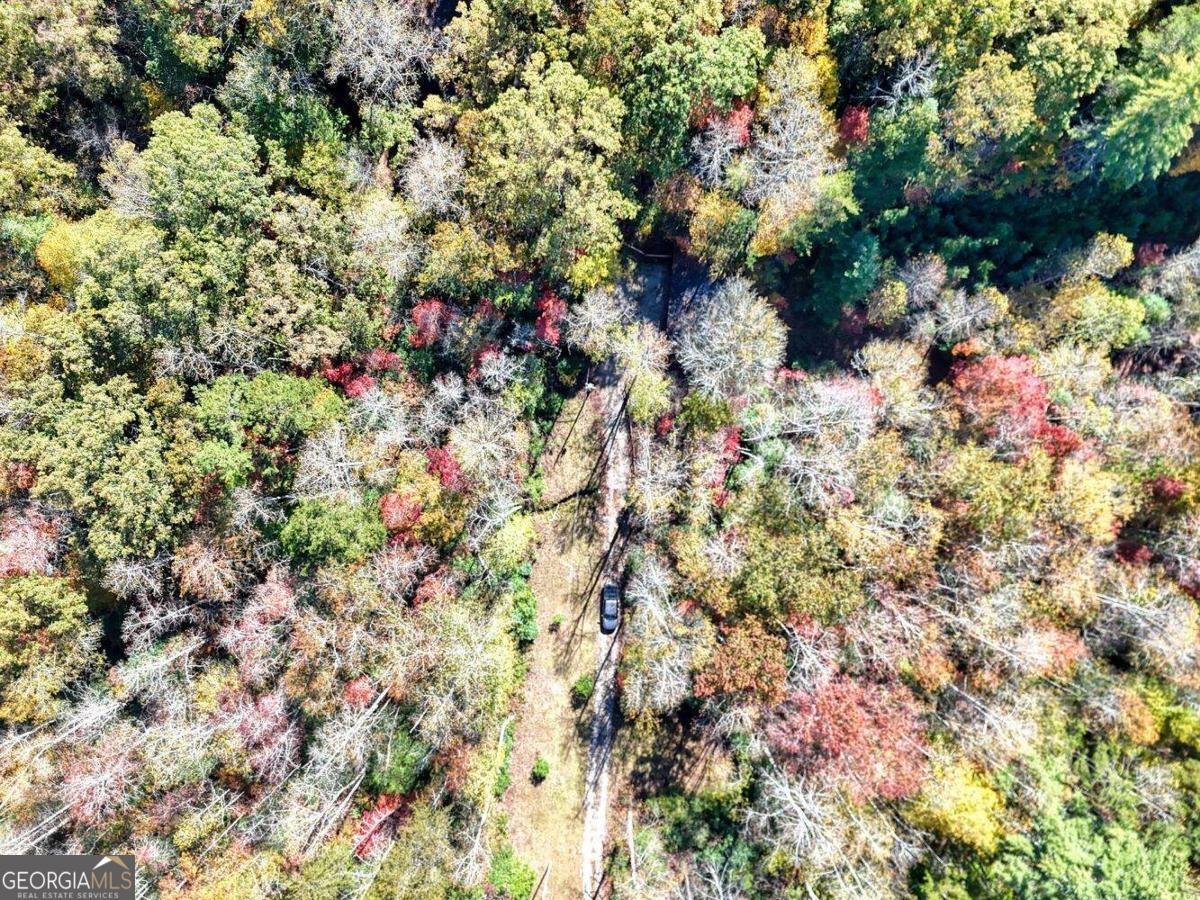 3008 Smyrna Road Young Harris - 63