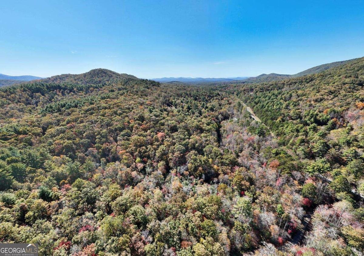 3008 Smyrna Road Young Harris - 64