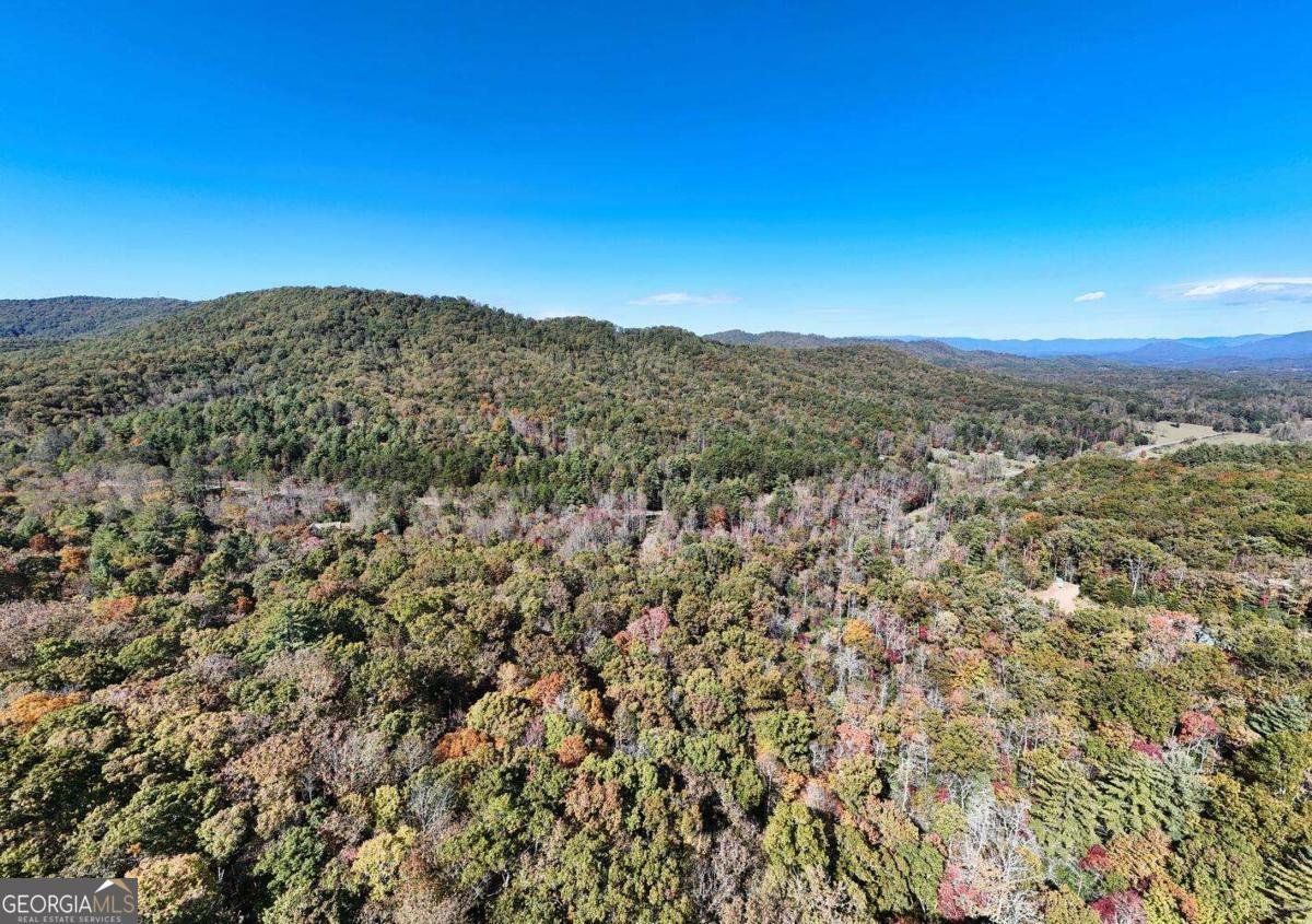 3008 Smyrna Road Young Harris - 65