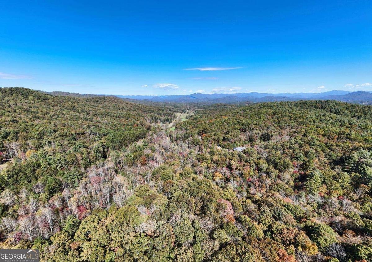 3008 Smyrna Road Young Harris - 66