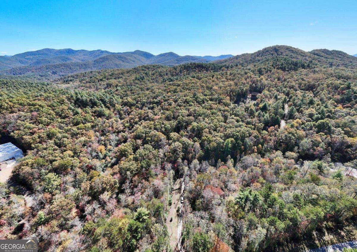 3008 Smyrna Road Young Harris - 67