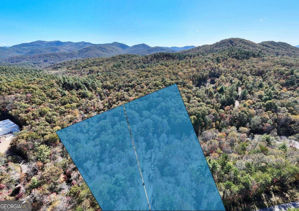 3008 Smyrna Road Young Harris - 68