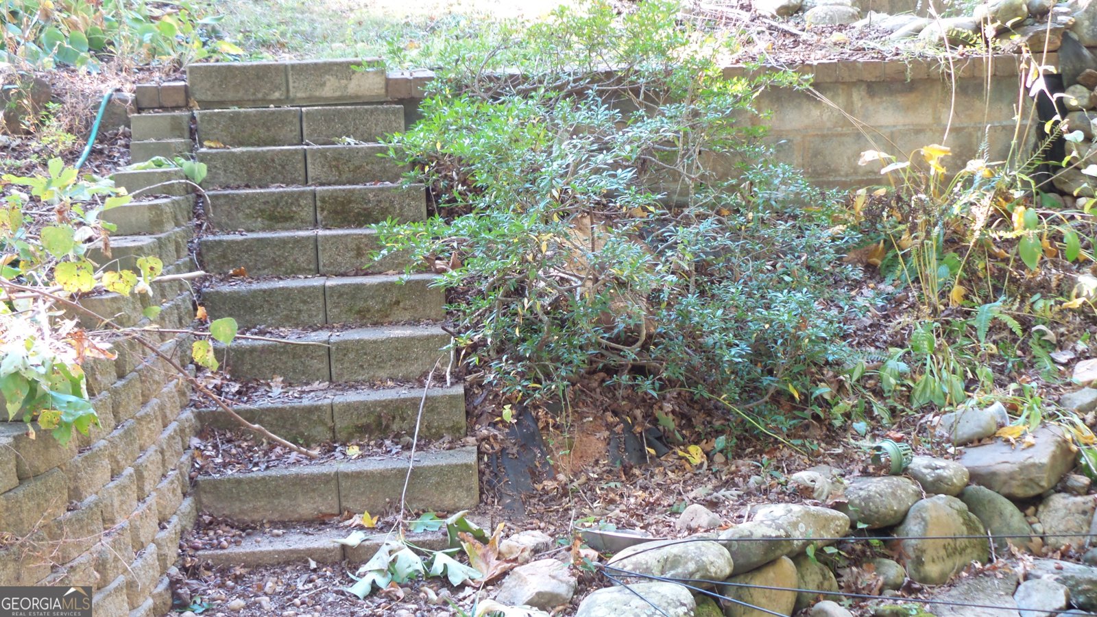 4121 Evian Way Gainesville - 29