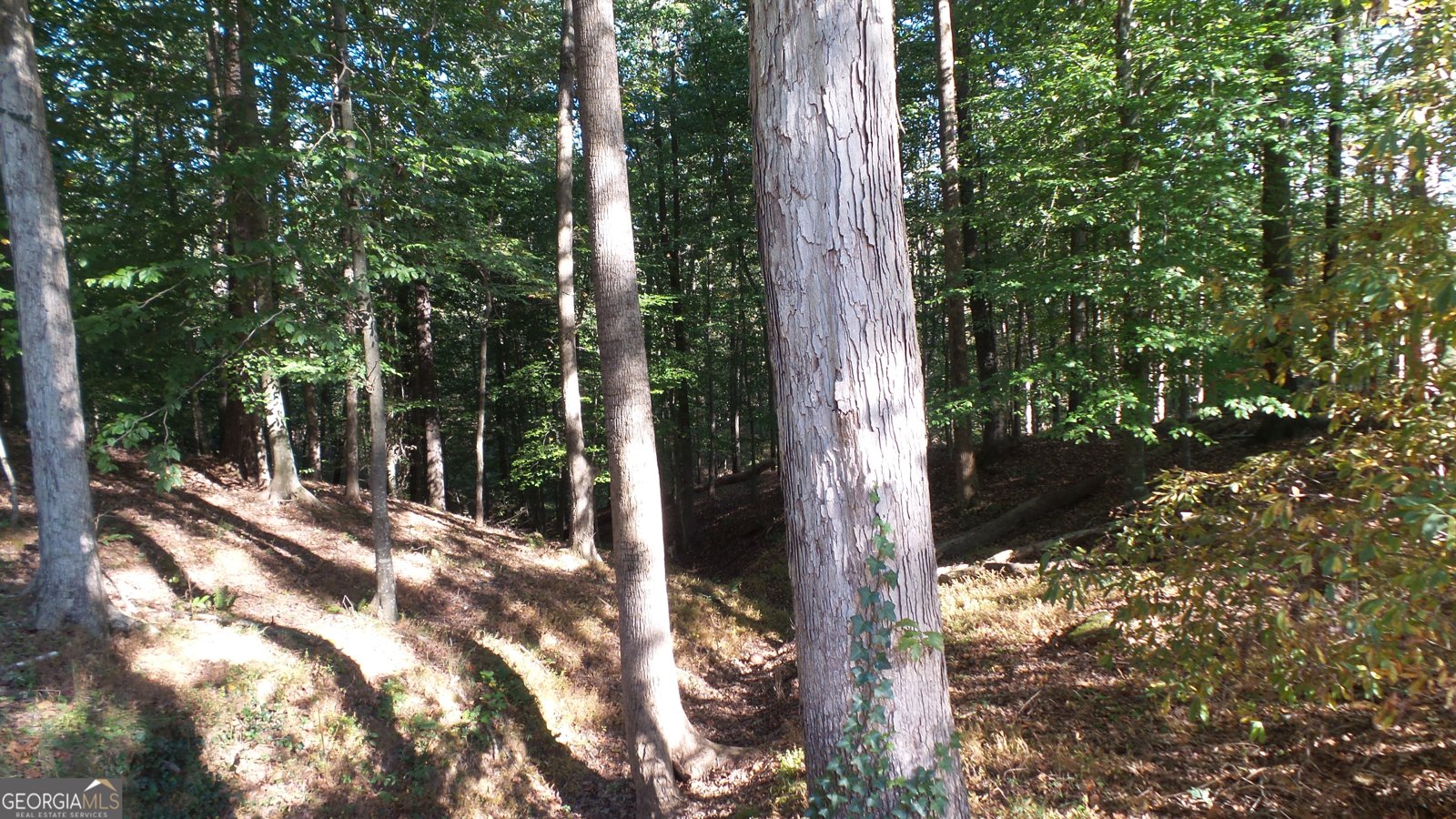 4121 Evian Way Gainesville - 32