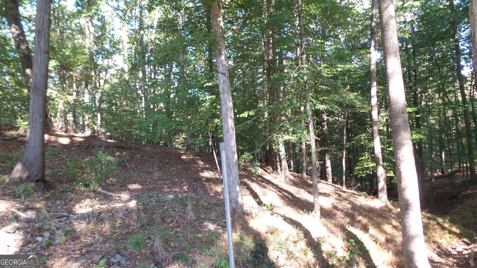 4121 Evian Way Gainesville - 33