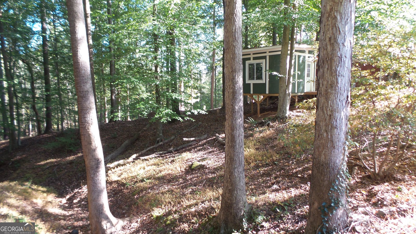 4121 Evian Way Gainesville - 35