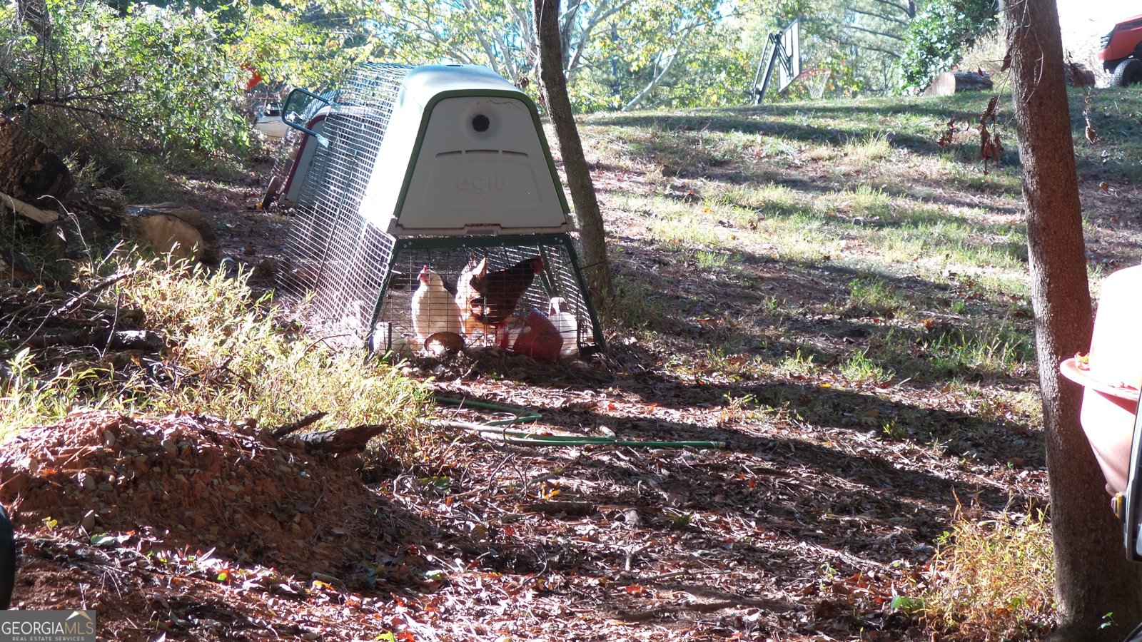 4121 Evian Way Gainesville - 38