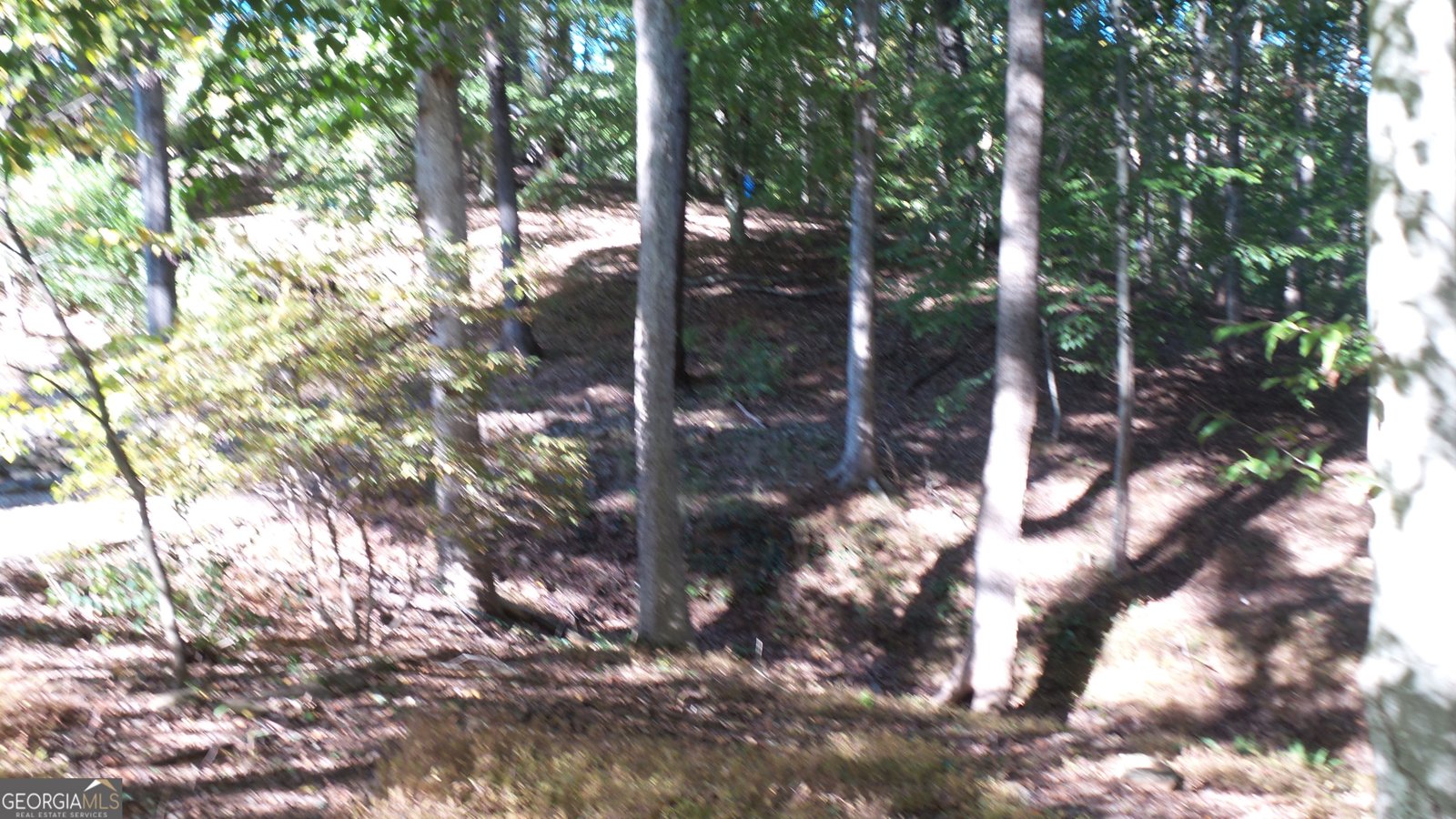 4121 Evian Way Gainesville - 40