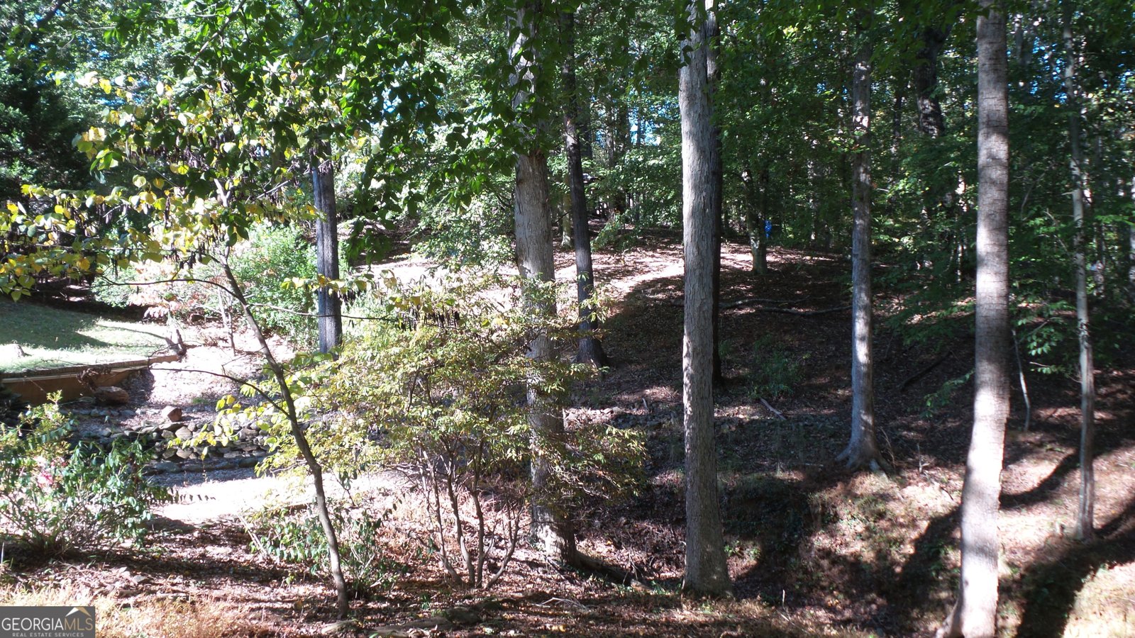 4121 Evian Way Gainesville - 41