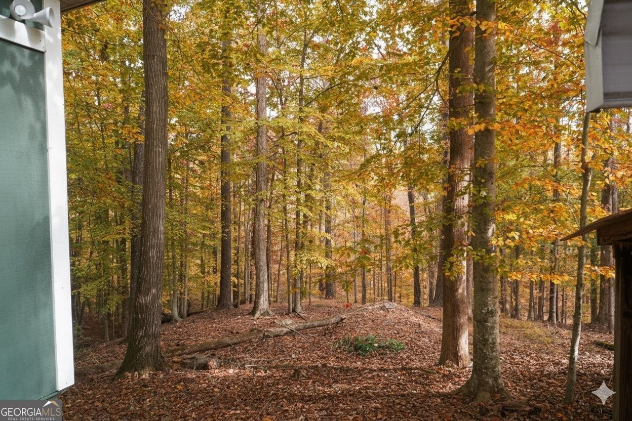 4121 Evian Way Gainesville - 67