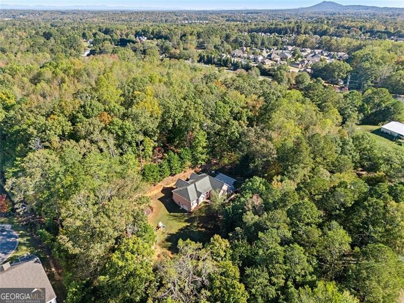 7380 Bates Drive Cumming - 32