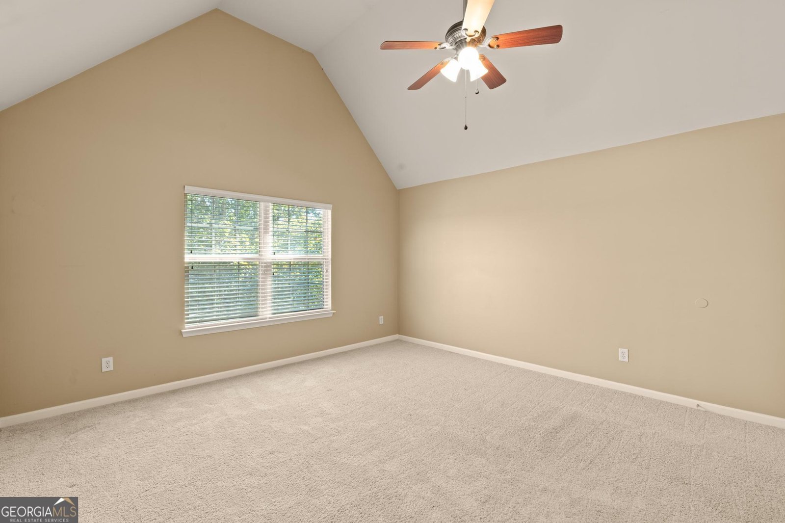 179 Hamilton Pointe Drive McDonough - 22