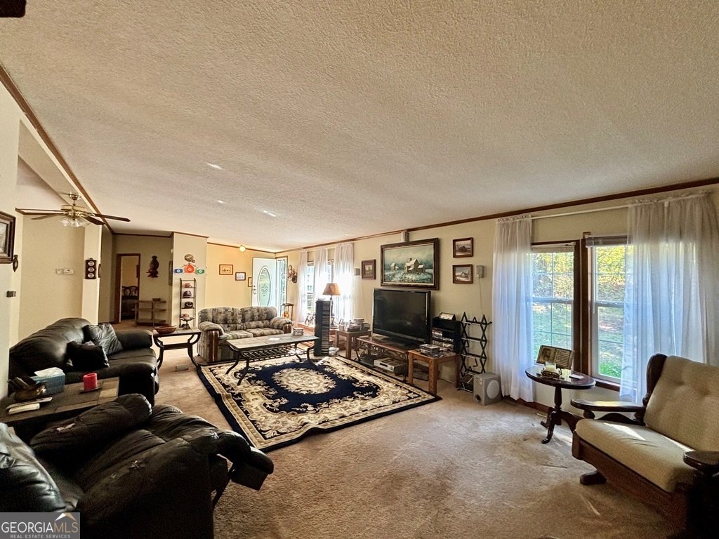 40 David Powell Road Sparta - 1