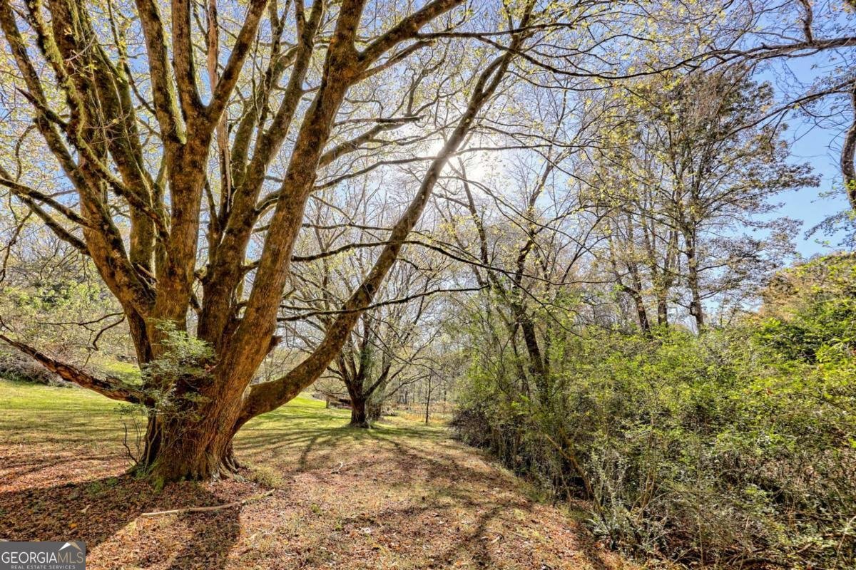 257 Brandus Drive Hayesville - 57