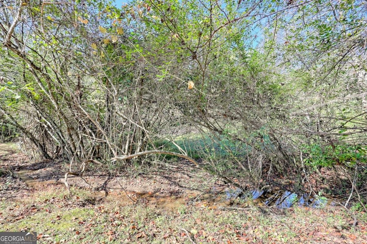 257 Brandus Drive Hayesville - 58