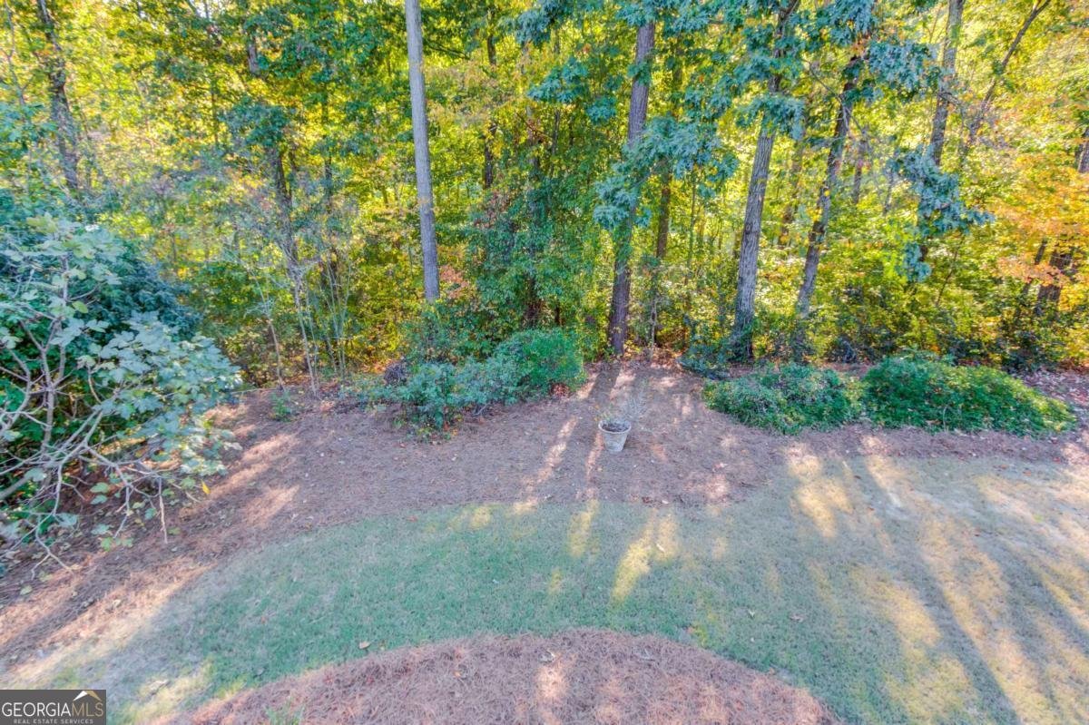 2180 ENCLAVE MILL Drive Dacula - 16