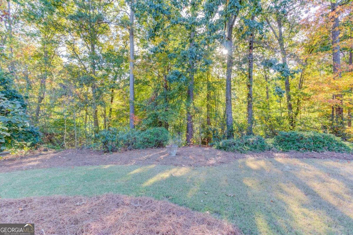 2180 ENCLAVE MILL Drive Dacula - 17