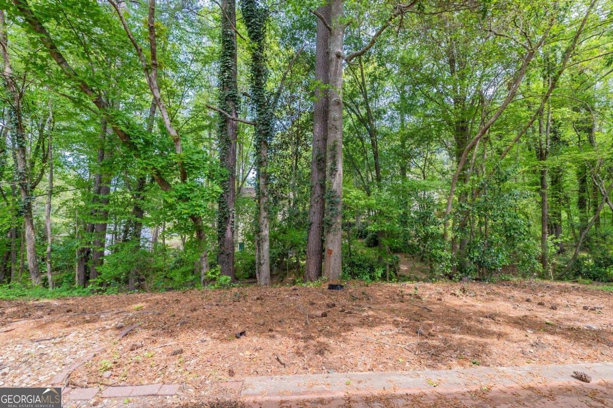 6205 Leverett Drive Lithonia - 30