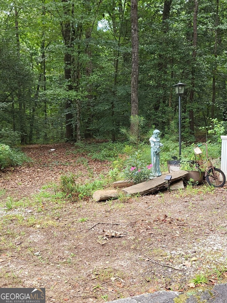 7277 AVALON Drive Douglasville - 53