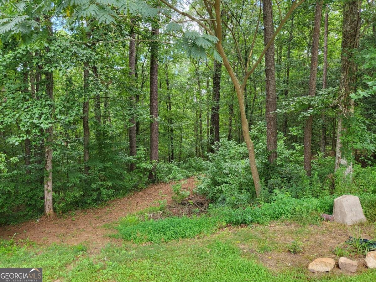 7277 AVALON Drive Douglasville - 54