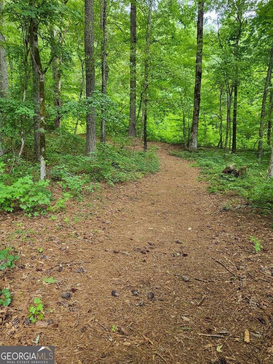 7277 AVALON Drive Douglasville - 55