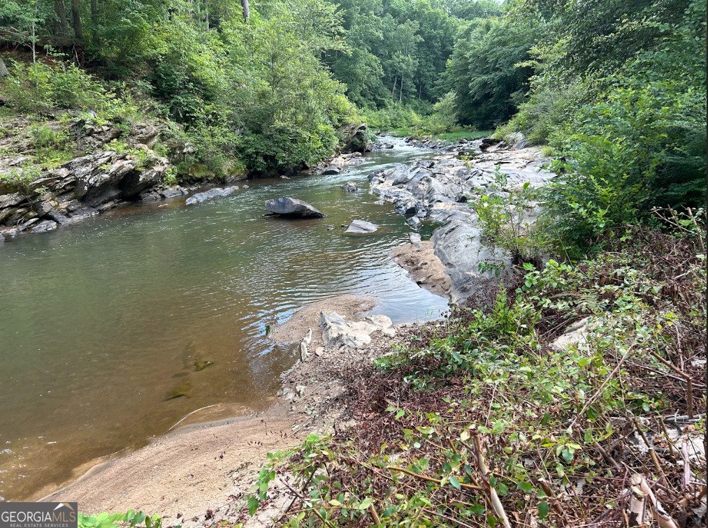 7277 AVALON Drive Douglasville - 56