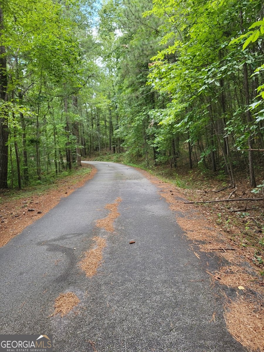 7277 AVALON Drive Douglasville - 58