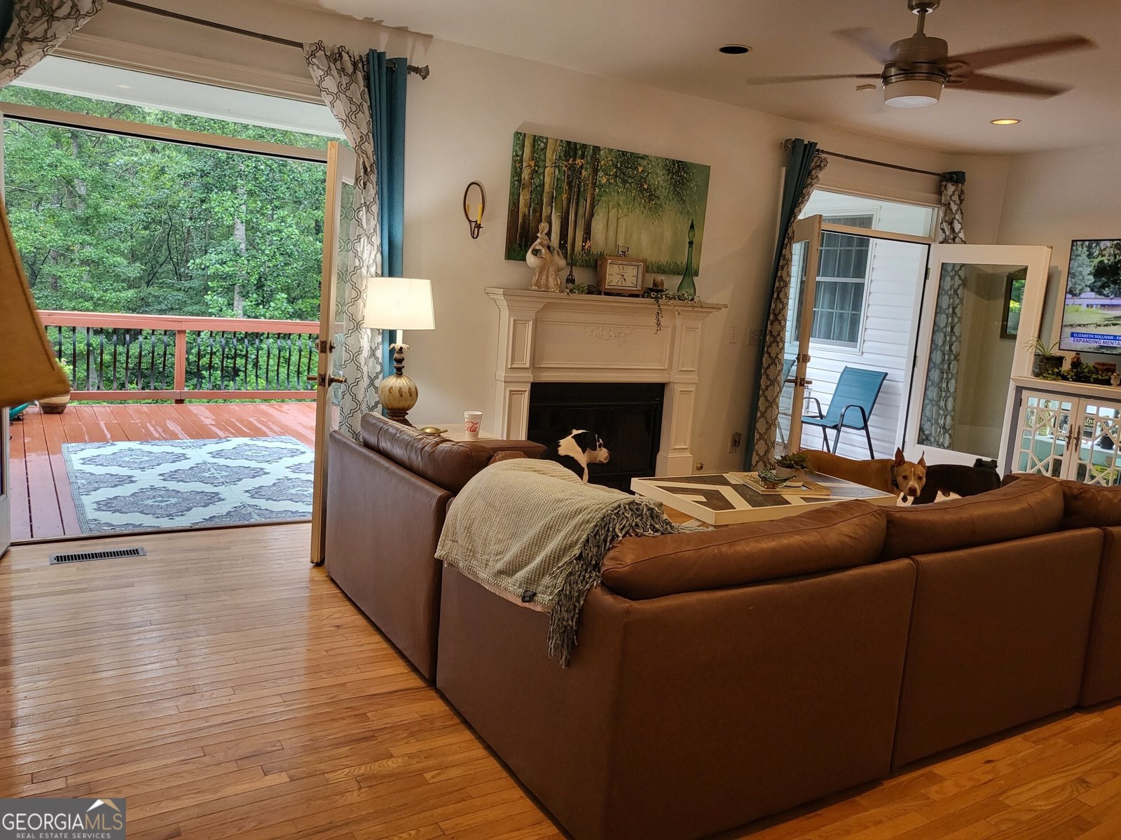 7277 AVALON Drive Douglasville - 64