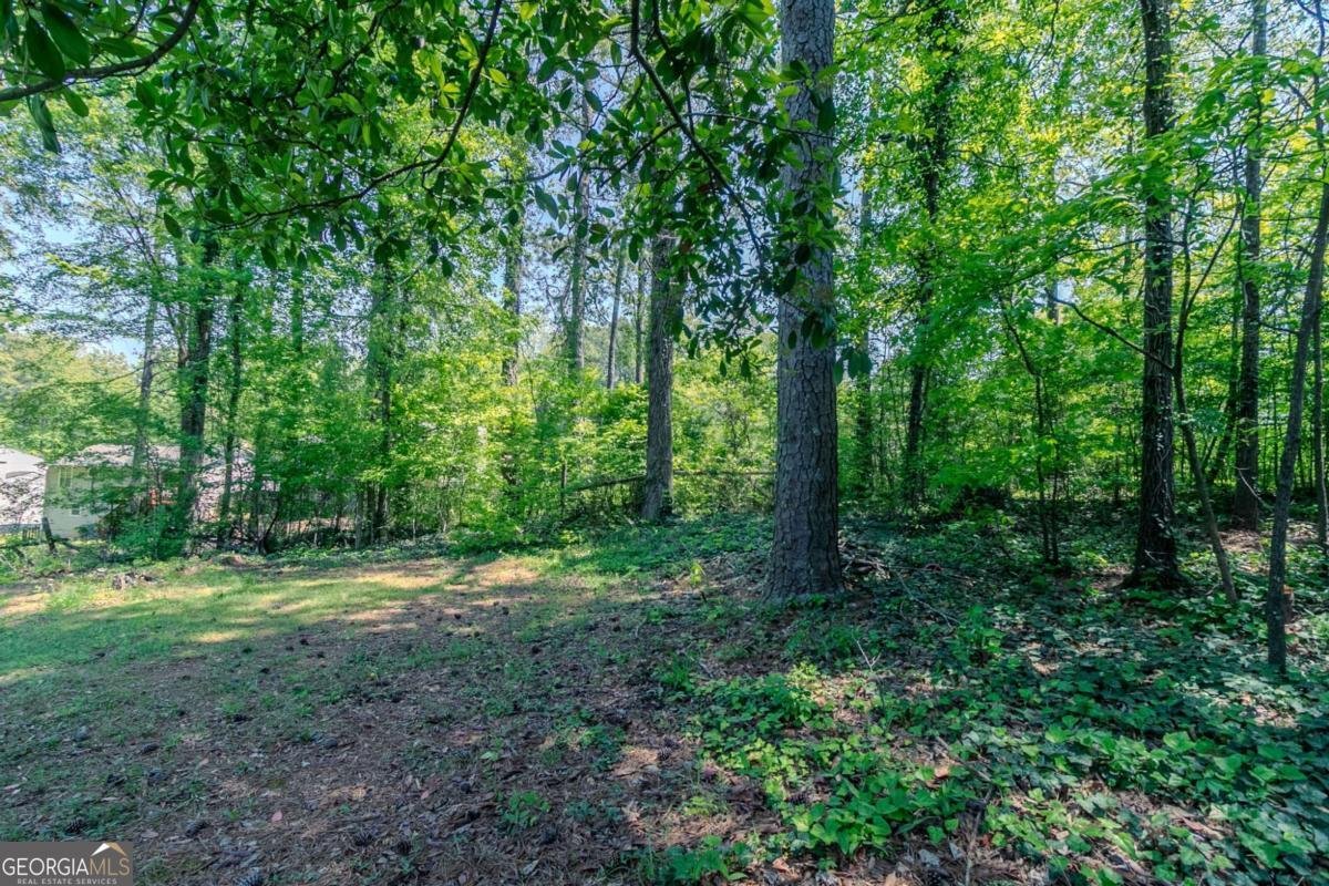 2092 Countydown Lane Stone Mountain - 28