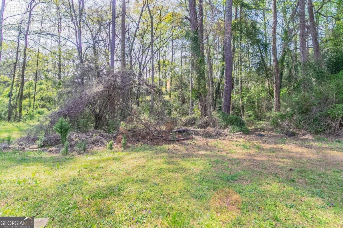 2030 Hilda Burns Place Lithonia - 24