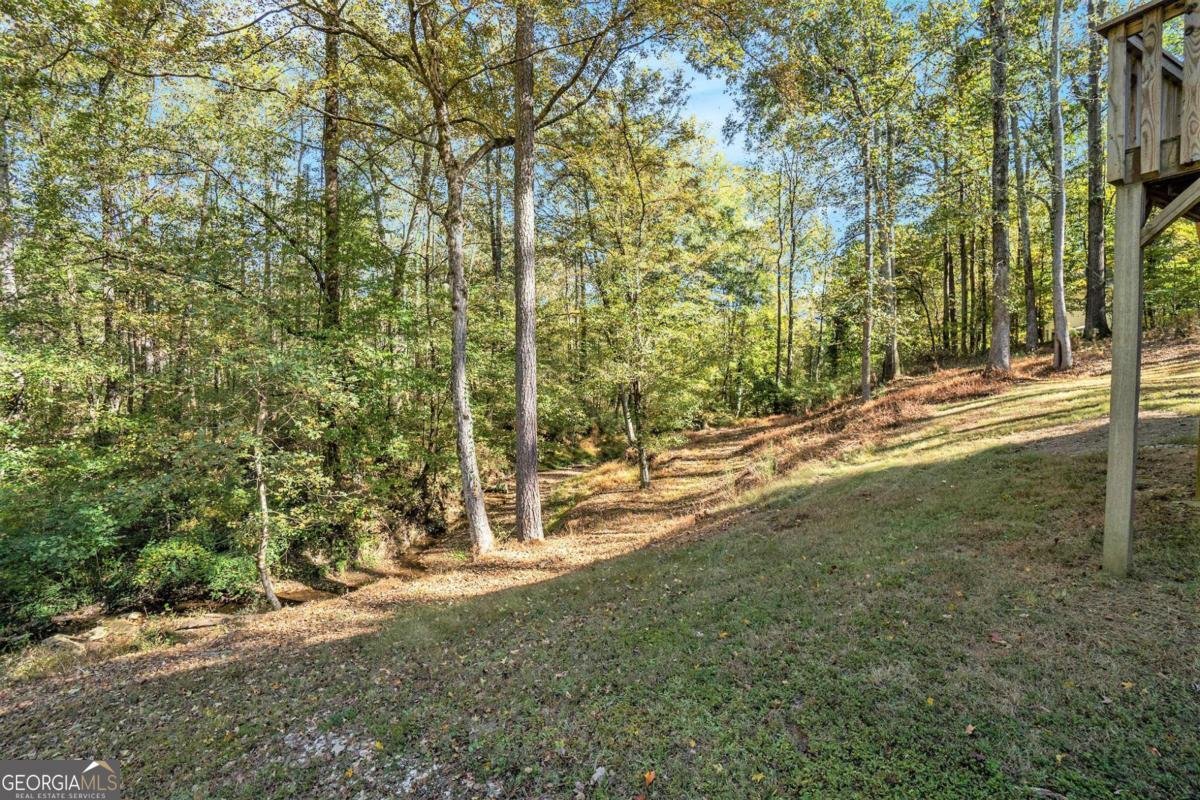 145 Shadybrook Lane Atlanta - 33