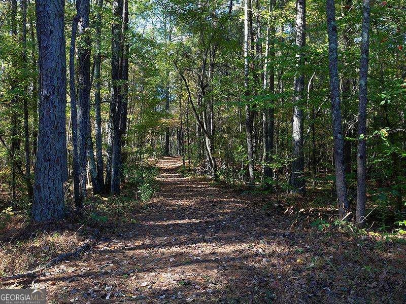 196 Pope Place Dallas - 28