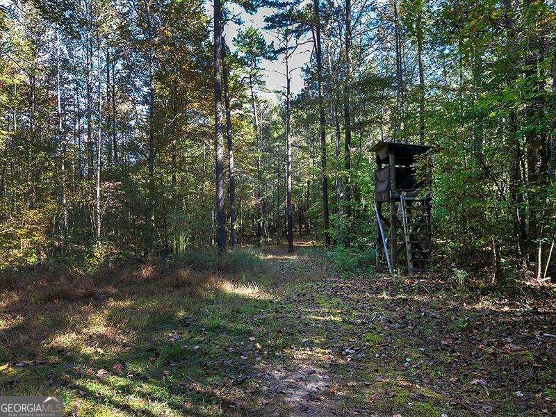 196 Pope Place Dallas - 29