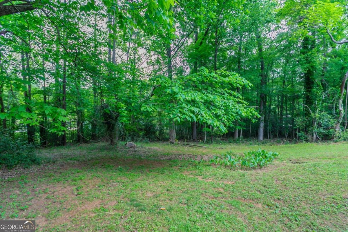 3664 Satellite Terrace Ellenwood - 37