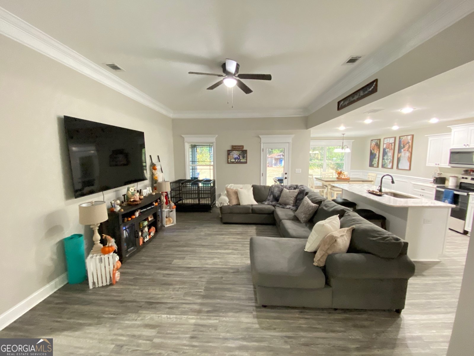 7 Cole Drive Hawkinsville - 4