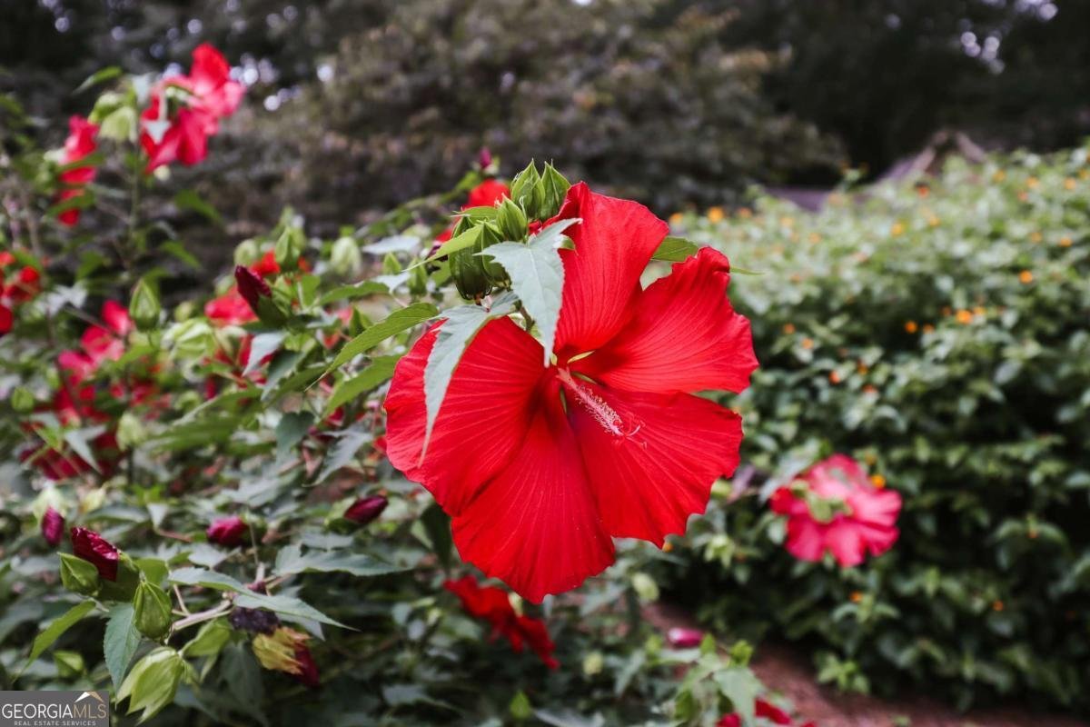 295 Blue Heron Drive Athens - 10