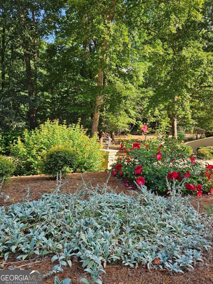 295 Blue Heron Drive Athens - 17