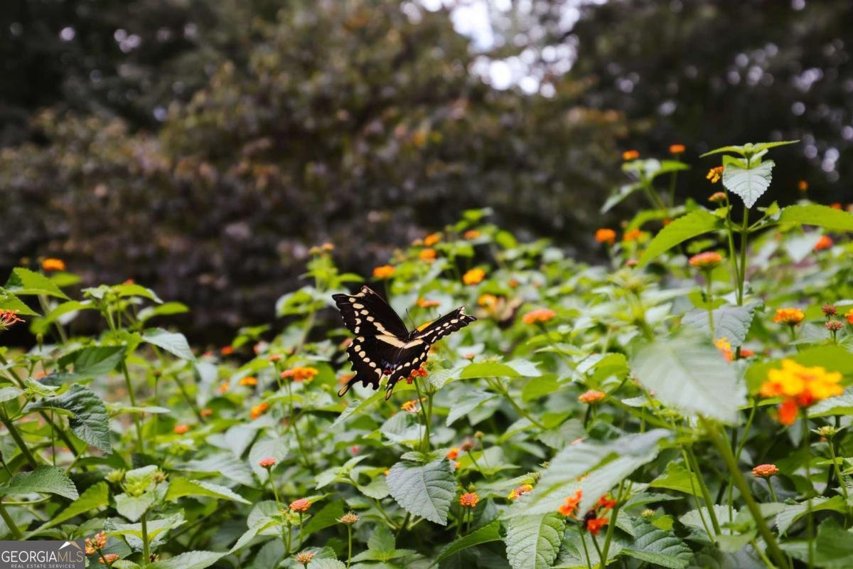 295 Blue Heron Drive Athens - 18