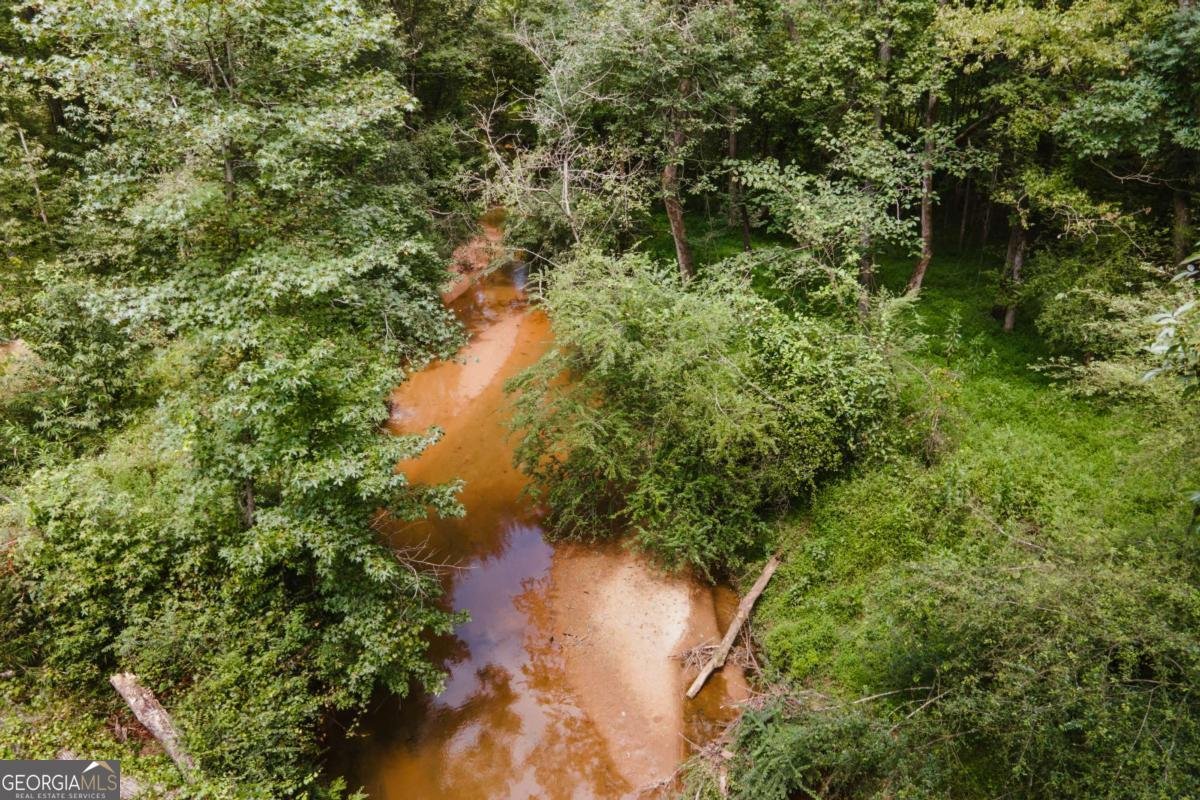 295 Blue Heron Drive Athens - 19