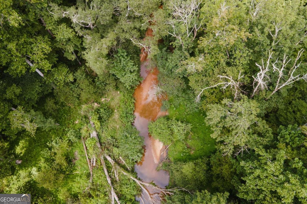 295 Blue Heron Drive Athens - 20