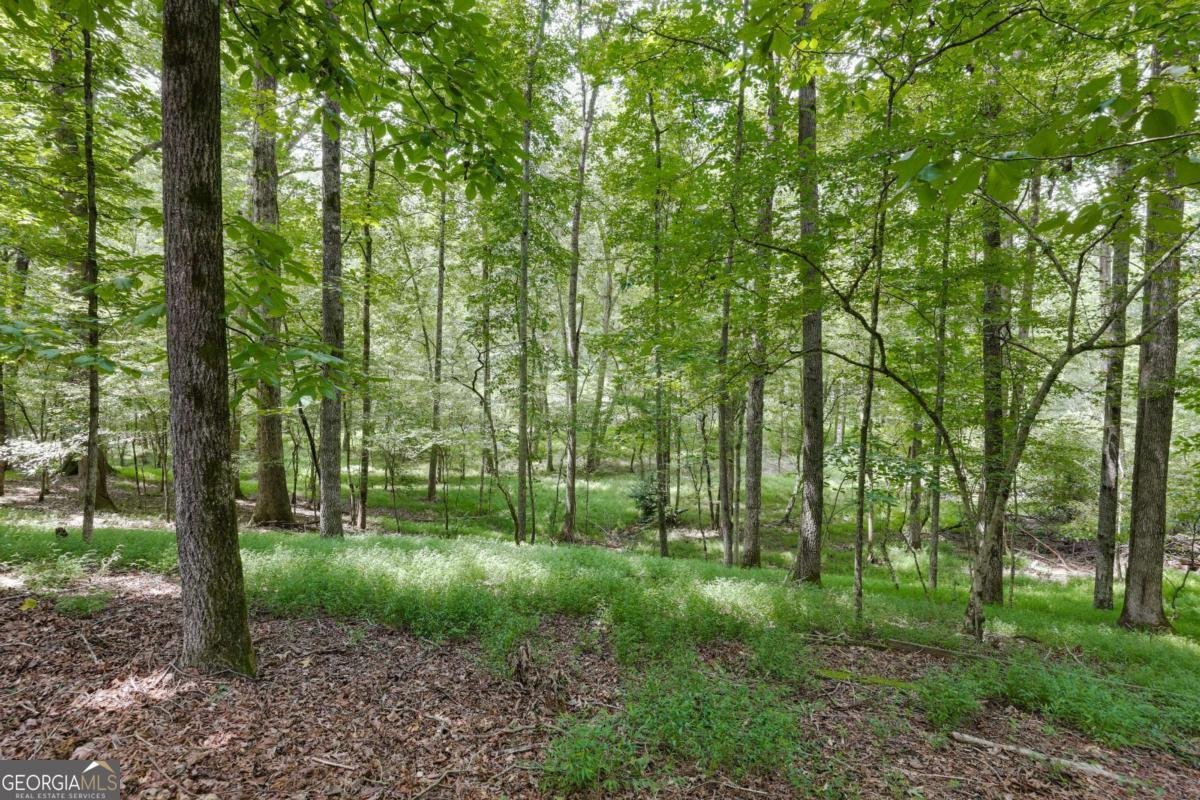 295 Blue Heron Drive Athens - 6