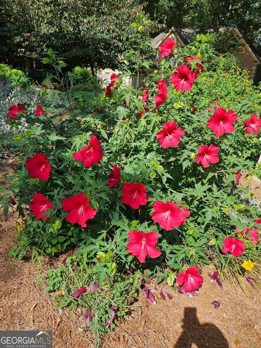 295 Blue Heron Drive Athens - 7