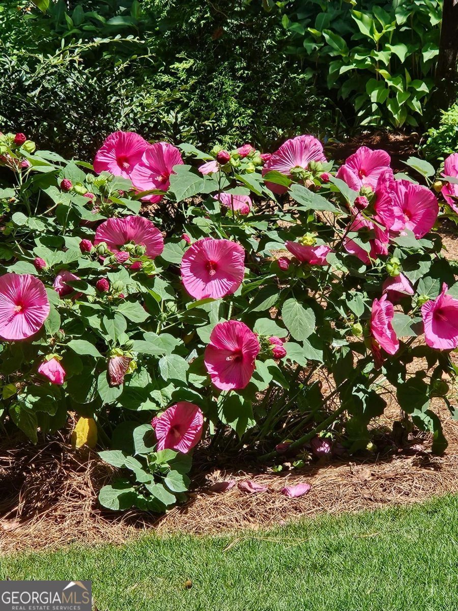 295 Blue Heron Drive Athens - 8